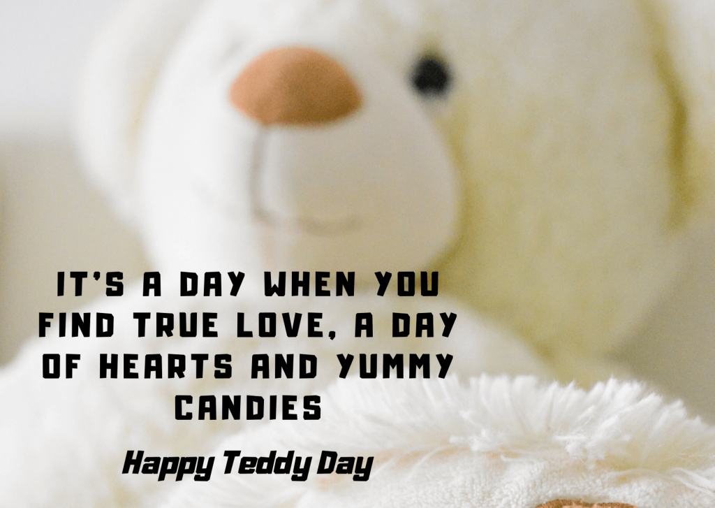 Happy Teddy Day 2021 Pictures