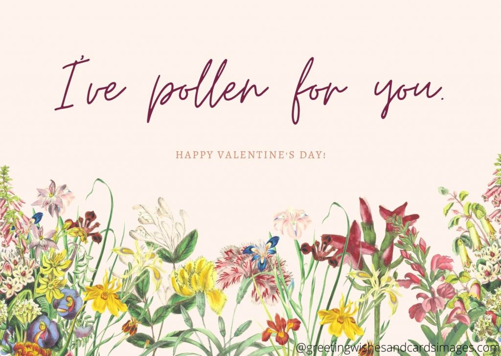 Happy Valentine's Day 2021 Greetings
