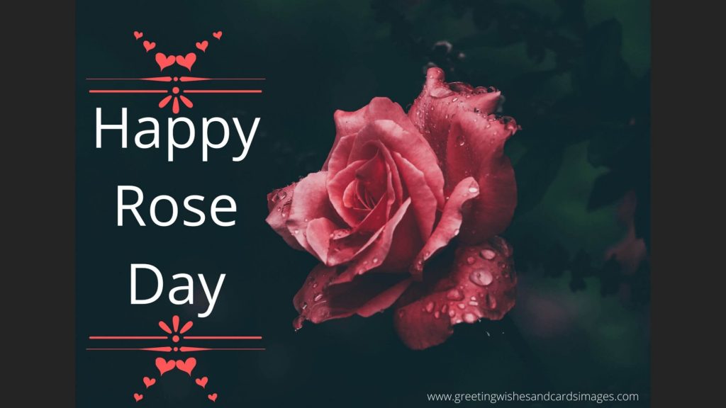 Happy Rose Day 2021