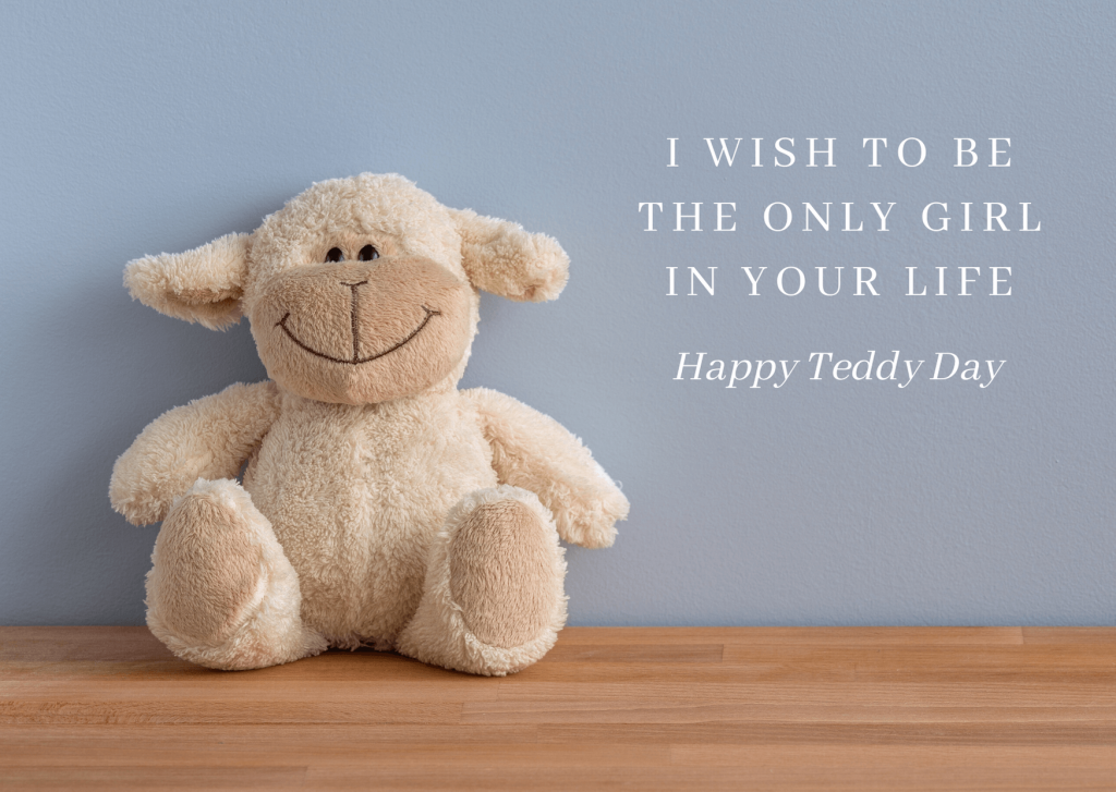 Happy Teddy Day Pics