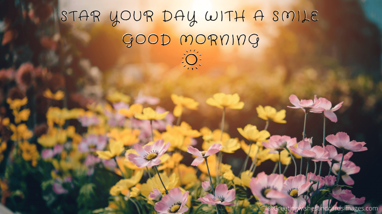 25+ Awesome Good Morning Images With Flowers - Greeting Wishes And ...