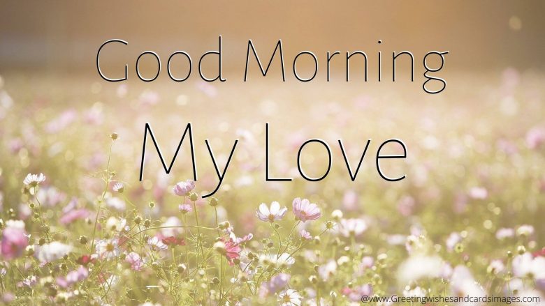 15 Best Good Morning Pics For Lover 2024 - Greeting Wishes And Cards Images